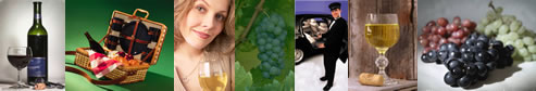 North Fork Wine Tours, Wine Tours North Fork, North Fork Winery Tours, Winery Tours North Fork, Wine Tours North Fork Long Island 